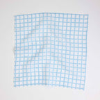 Hand Block Linen Napkin Set Graph Checks - Blue