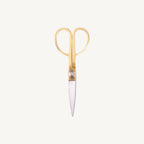 Brass Scissors