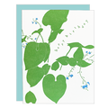 Forget Me Not Birthday Card