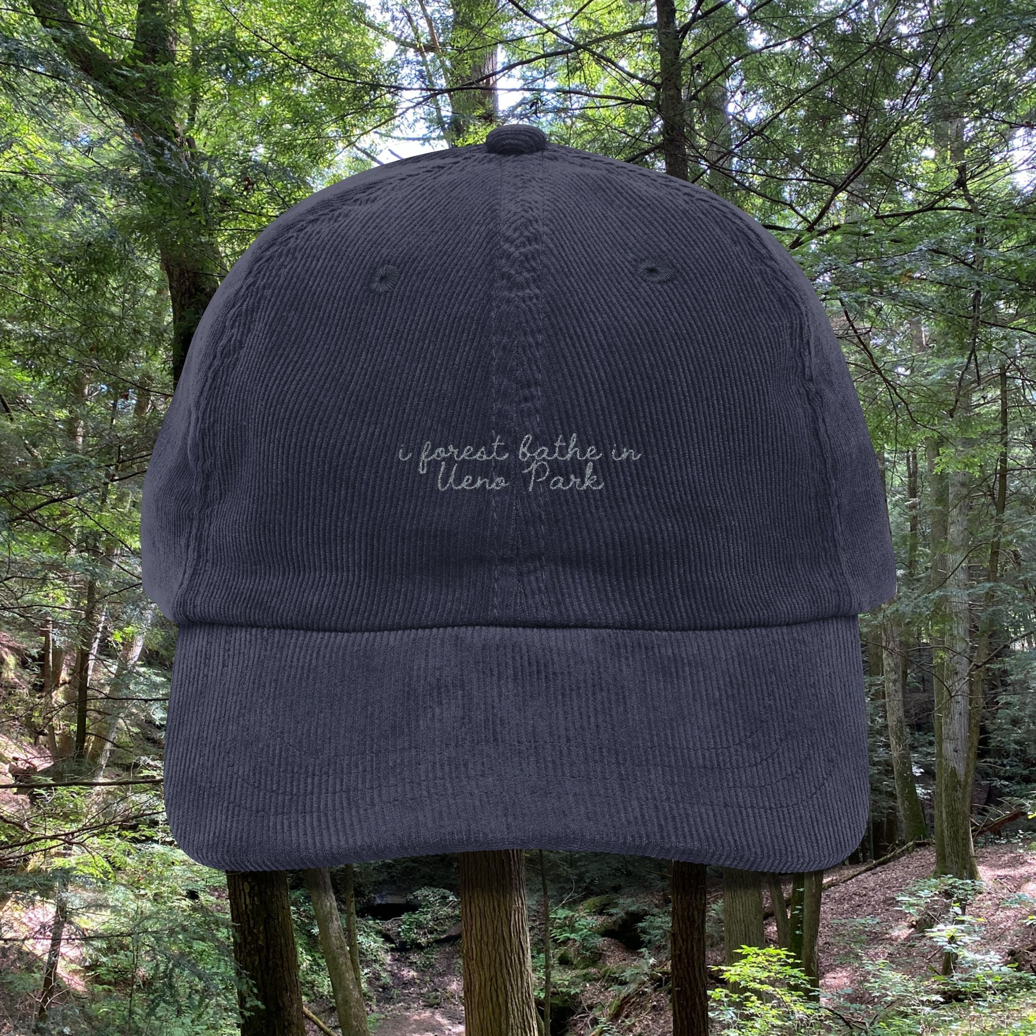Ueno Park, Tokyo, Japan  | Forest Bathing | Corduroy Hat