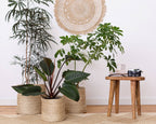 Tall Round Basket - natural jute