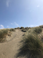 Adult Crew Sweatshirt - Sunset “Always a Good Time” - PRESALE