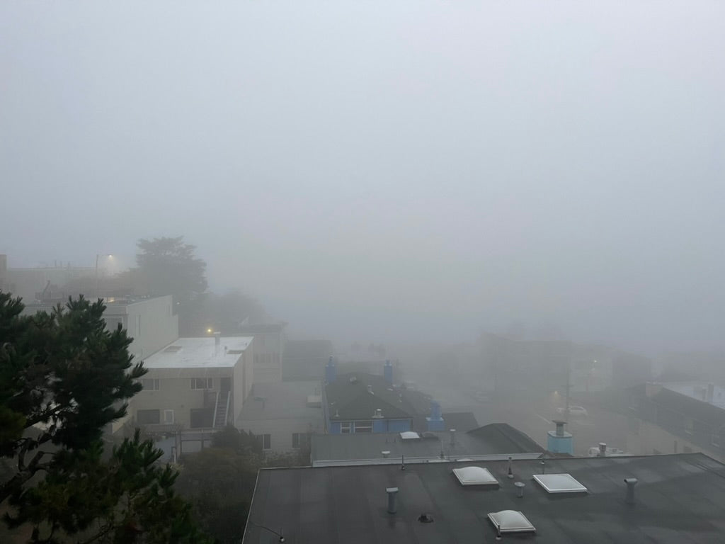 Adult Crew Sweatshirt - Sunset “Certified Fog Snob” - PRESALE