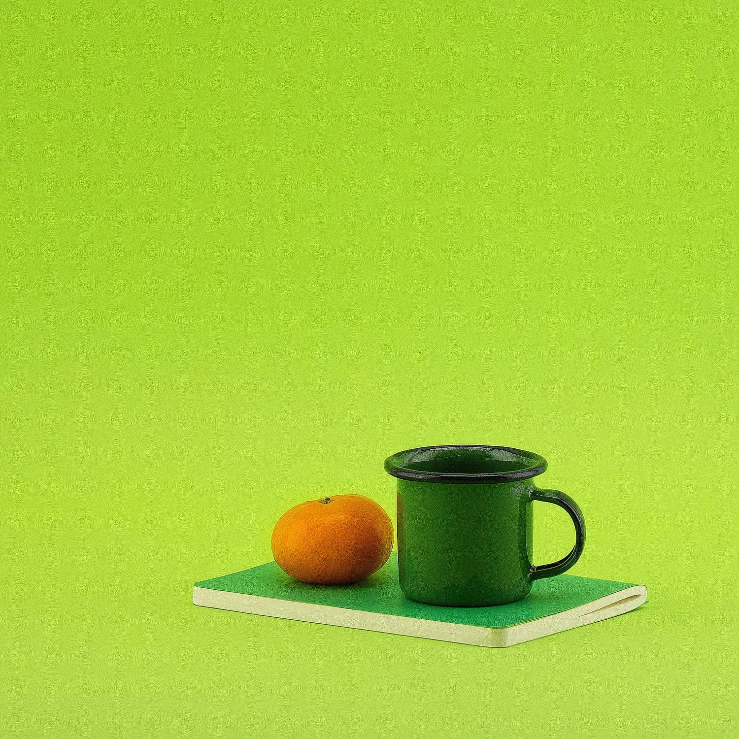 A6 Notebook / Barragan Green