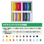 Cray-pas 24 piece Conte Pastel Set