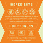 PARCH Desert Margarita Non-Alc Agave Cocktail