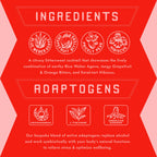 PARCH Prickly Paloma Non-Alc Agave Cocktail