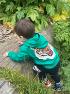 Tiger - Kids Patch Hooded Sweatshirt - Green