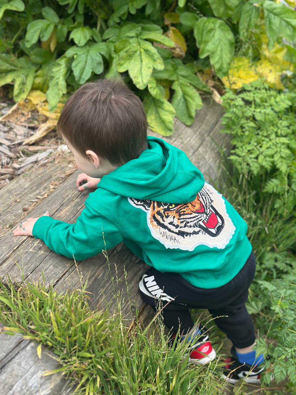 Tiger - Kids Patch Hooded Sweatshirt - Green